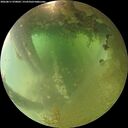 ./images/calvert/underwater/20260811/underwater20260811_070002M.jpg