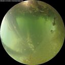 ./images/calvert/underwater/20260811/underwater20260811_071001M.jpg