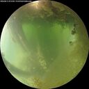./images/calvert/underwater/20260811/underwater20260811_071502M.jpg