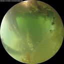 ./images/calvert/underwater/20260811/underwater20260811_072002M.jpg
