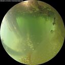 ./images/calvert/underwater/20260811/underwater20260811_072501M.jpg