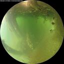 ./images/calvert/underwater/20260811/underwater20260811_074001M.jpg