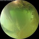 ./images/calvert/underwater/20260811/underwater20260811_075002M.jpg