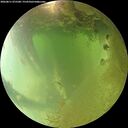 ./images/calvert/underwater/20260811/underwater20260811_075501M.jpg