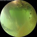 ./images/calvert/underwater/20260811/underwater20260811_080002M.jpg