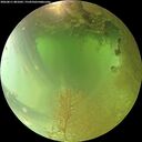 ./images/calvert/underwater/20260811/underwater20260811_081001M.jpg