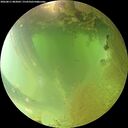 ./images/calvert/underwater/20260811/underwater20260811_083001M.jpg