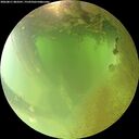 ./images/calvert/underwater/20260811/underwater20260811_083501M.jpg