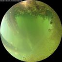 ./images/calvert/underwater/20260811/underwater20260811_085001M.jpg