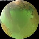 ./images/calvert/underwater/20260811/underwater20260811_090502M.jpg