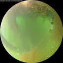 ./images/calvert/underwater/20260811/underwater20260811_091001M.jpg