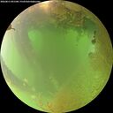 ./images/calvert/underwater/20260811/underwater20260811_091501M.jpg