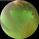 ./images/calvert/underwater/20260811/underwater20260811_092001M.jpg