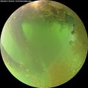 ./images/calvert/underwater/20260811/underwater20260811_092501M.jpg