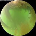 ./images/calvert/underwater/20260811/underwater20260811_093001M.jpg