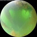 ./images/calvert/underwater/20260811/underwater20260811_094501M.jpg