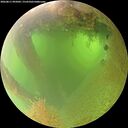./images/calvert/underwater/20260811/underwater20260811_095001M.jpg