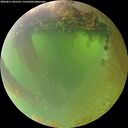 ./images/calvert/underwater/20260811/underwater20260811_095501M.jpg