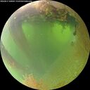 ./images/calvert/underwater/20260811/underwater20260811_100001M.jpg