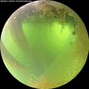 ./images/calvert/underwater/20260811/underwater20260811_100501M.jpg