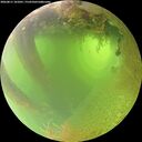 ./images/calvert/underwater/20260811/underwater20260811_101001M.jpg