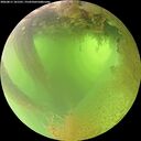 ./images/calvert/underwater/20260811/underwater20260811_101501M.jpg