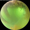 ./images/calvert/underwater/20260811/underwater20260811_102002M.jpg