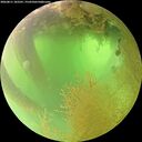 ./images/calvert/underwater/20260811/underwater20260811_102501M.jpg