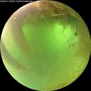 ./images/calvert/underwater/20260811/underwater20260811_103001M.jpg