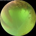 ./images/calvert/underwater/20260811/underwater20260811_103501M.jpg