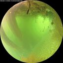 ./images/calvert/underwater/20260811/underwater20260811_104001M.jpg