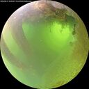 ./images/calvert/underwater/20260811/underwater20260811_104502M.jpg