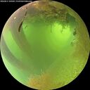 ./images/calvert/underwater/20260811/underwater20260811_105002M.jpg