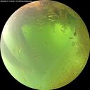 ./images/calvert/underwater/20260811/underwater20260811_111001M.jpg