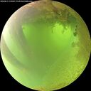 ./images/calvert/underwater/20260811/underwater20260811_112002M.jpg