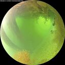 ./images/calvert/underwater/20260811/underwater20260811_112501M.jpg