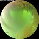 ./images/calvert/underwater/20260811/underwater20260811_113502M.jpg