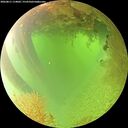 ./images/calvert/underwater/20260811/underwater20260811_114001M.jpg
