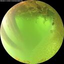 ./images/calvert/underwater/20260811/underwater20260811_114502M.jpg