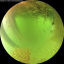 ./images/calvert/underwater/20260811/underwater20260811_115001M.jpg