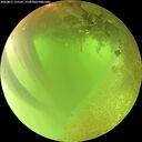 ./images/calvert/underwater/20260811/underwater20260811_115501M.jpg