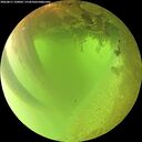 ./images/calvert/underwater/20260811/underwater20260811_120001M.jpg