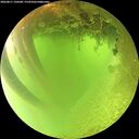 ./images/calvert/underwater/20260811/underwater20260811_120501M.jpg