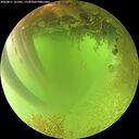 ./images/calvert/underwater/20260811/underwater20260811_121001M.jpg