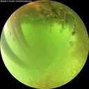 ./images/calvert/underwater/20260811/underwater20260811_121501M.jpg