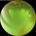 ./images/calvert/underwater/20260811/underwater20260811_122001M.jpg