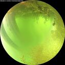 ./images/calvert/underwater/20260811/underwater20260811_122502M.jpg