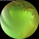 ./images/calvert/underwater/20260811/underwater20260811_123001M.jpg