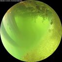 ./images/calvert/underwater/20260811/underwater20260811_123501M.jpg