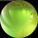 ./images/calvert/underwater/20260811/underwater20260811_124001M.jpg